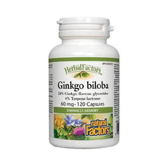 Natural Factors Ginkgo Biloba, 120 Ct in Pakistan - Buy Vitamins
